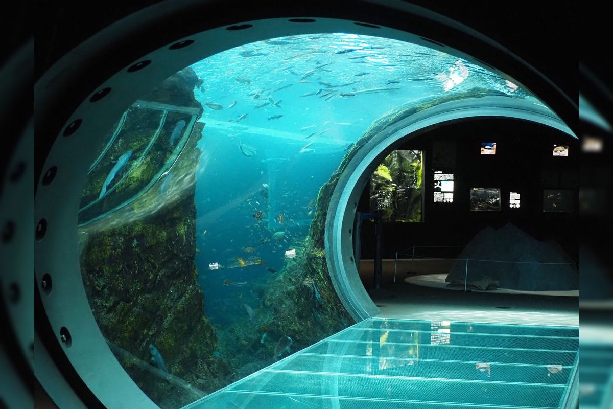 上越市立水族博物館 うみがたり (Umigatari)