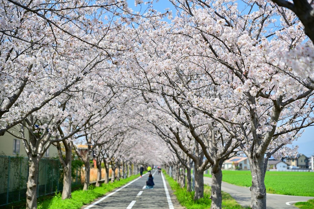 Jofuku Cycle Road