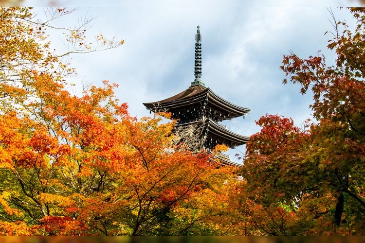 定義如来西方寺 (Jogi Nyorai Saiho-ji) 3