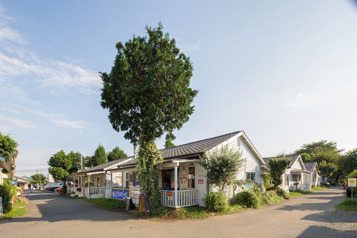 존슨 타운 (Johnson Town)