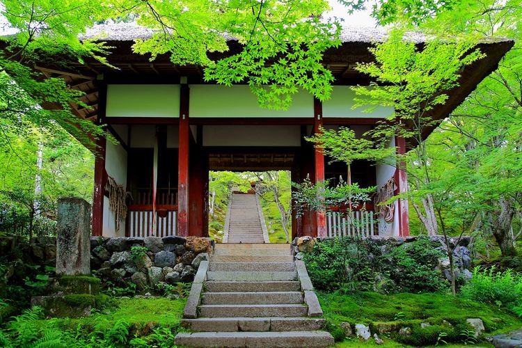 Jojakko-ji 2