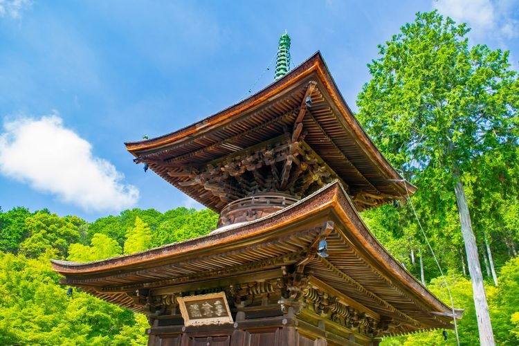 Jojakko-ji 4