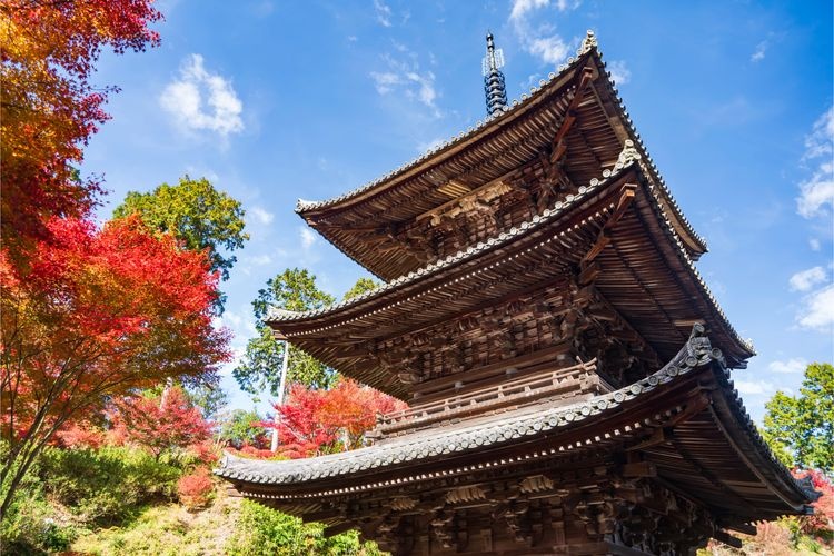 Temple Joraku-ji (Sai-ji / Konan Sanzan) 2