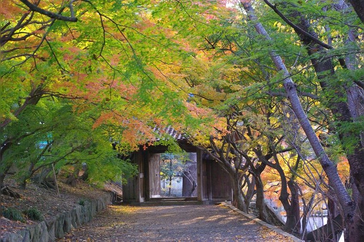 丈六寺 (Joroku-ji) 3