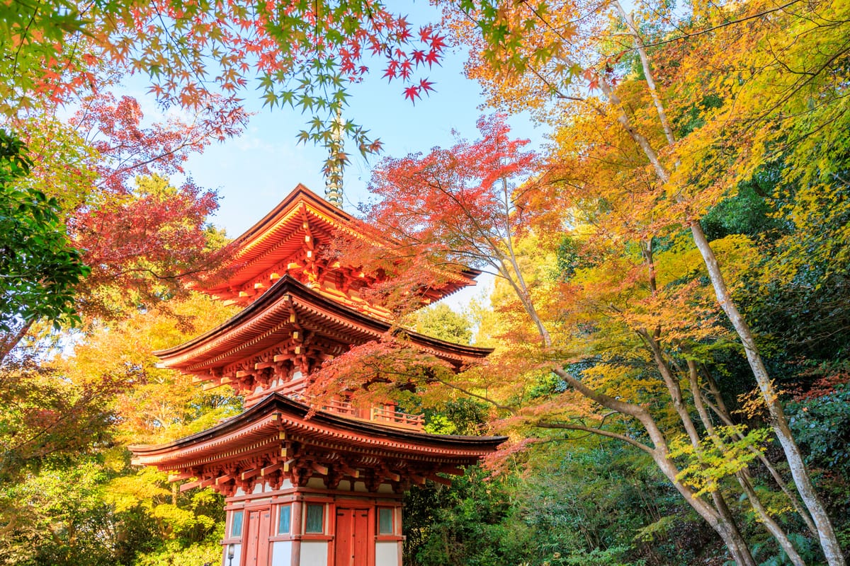 净瑠璃寺