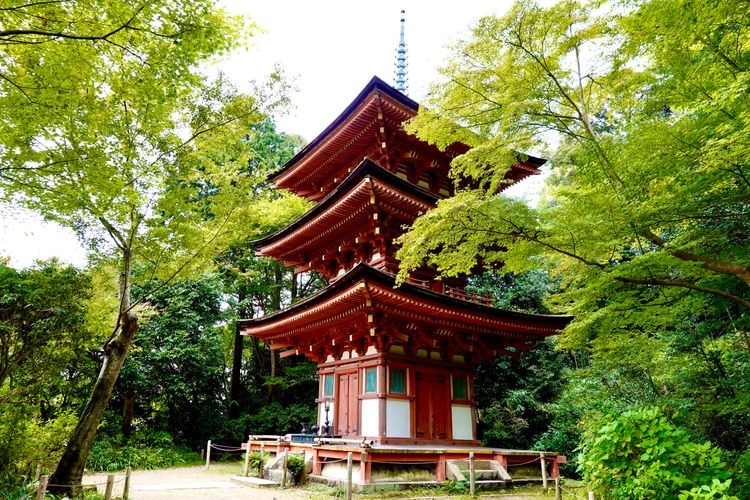 净瑠璃寺