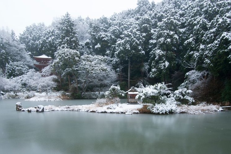 净瑠璃寺 2