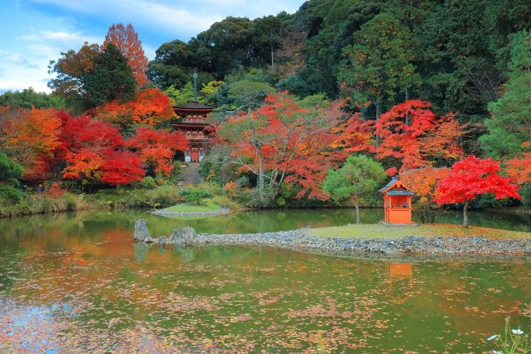 净瑠璃寺 3