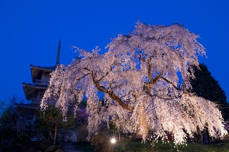 Josen-ji Temple