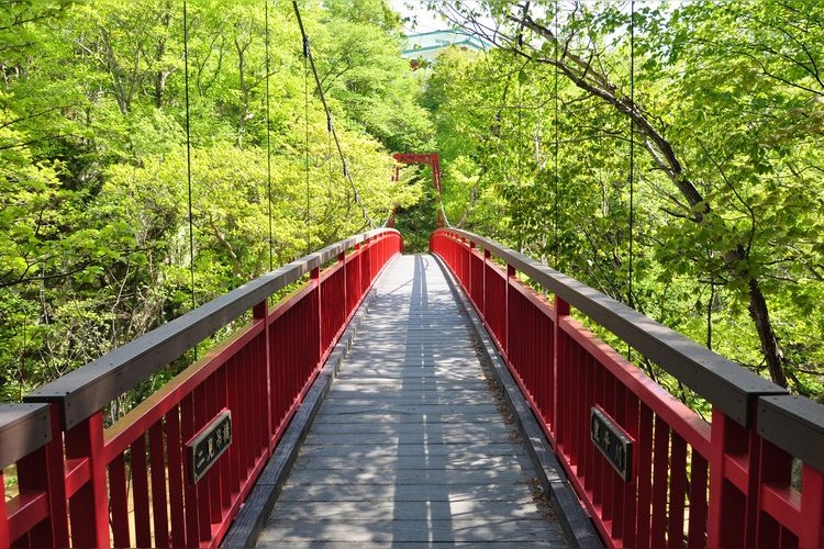 Futami Park 2