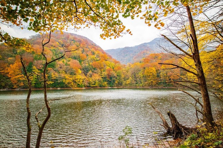 十二湖 (Juniko) 3