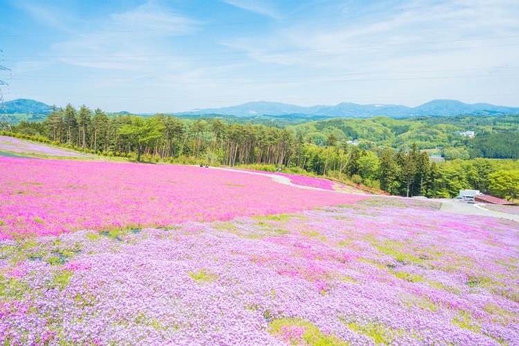 Jupia Land Hirata 2