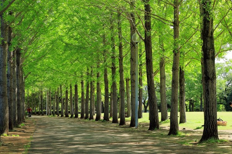 科学万博記念公園 2