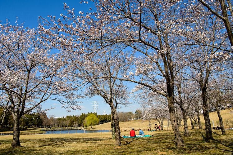 科学万博記念公園 3