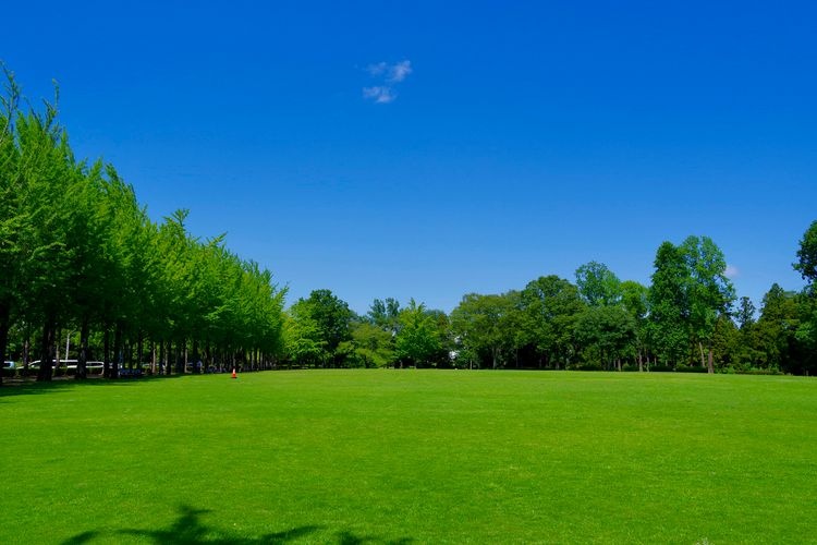 科学万博記念公園 4