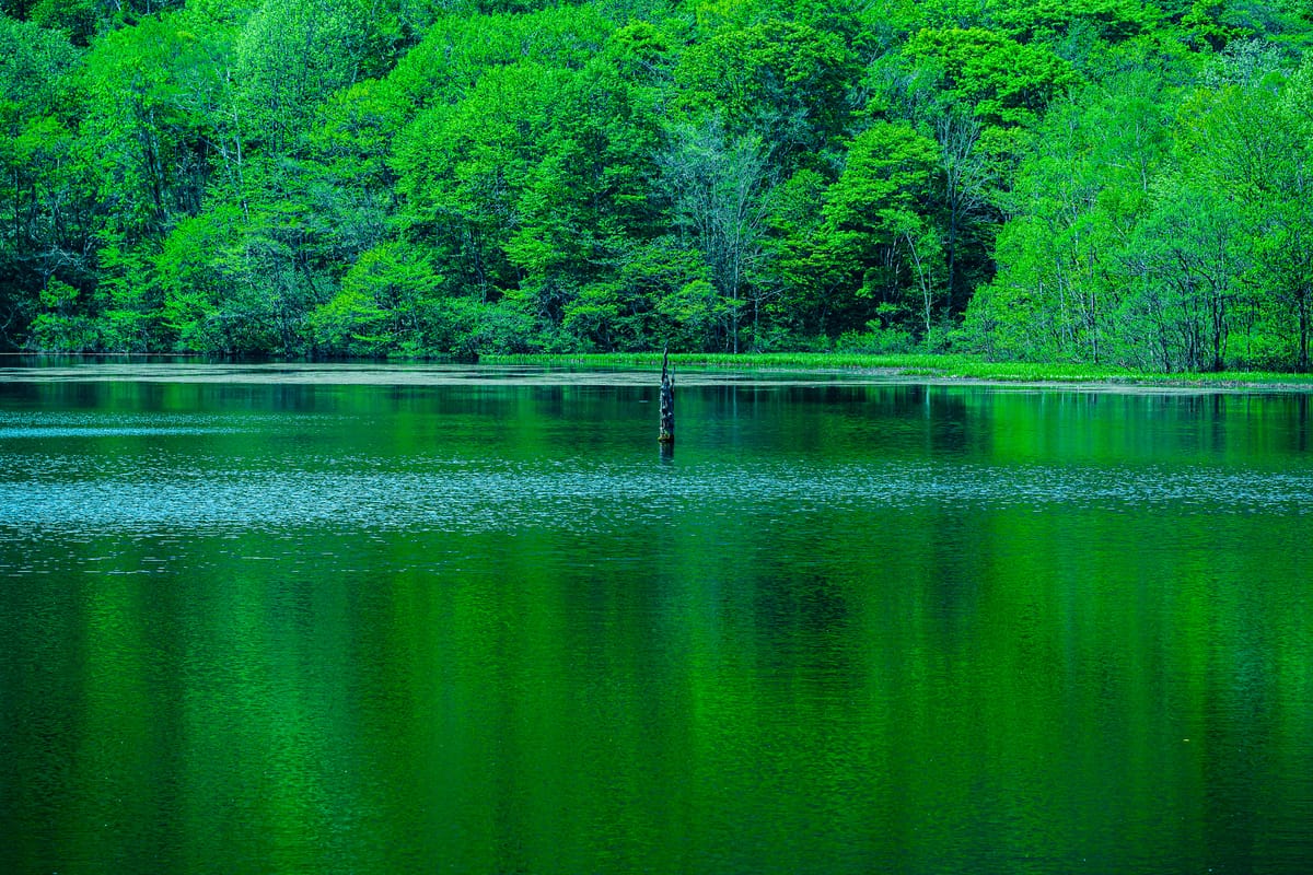 Kagamiike Pond
