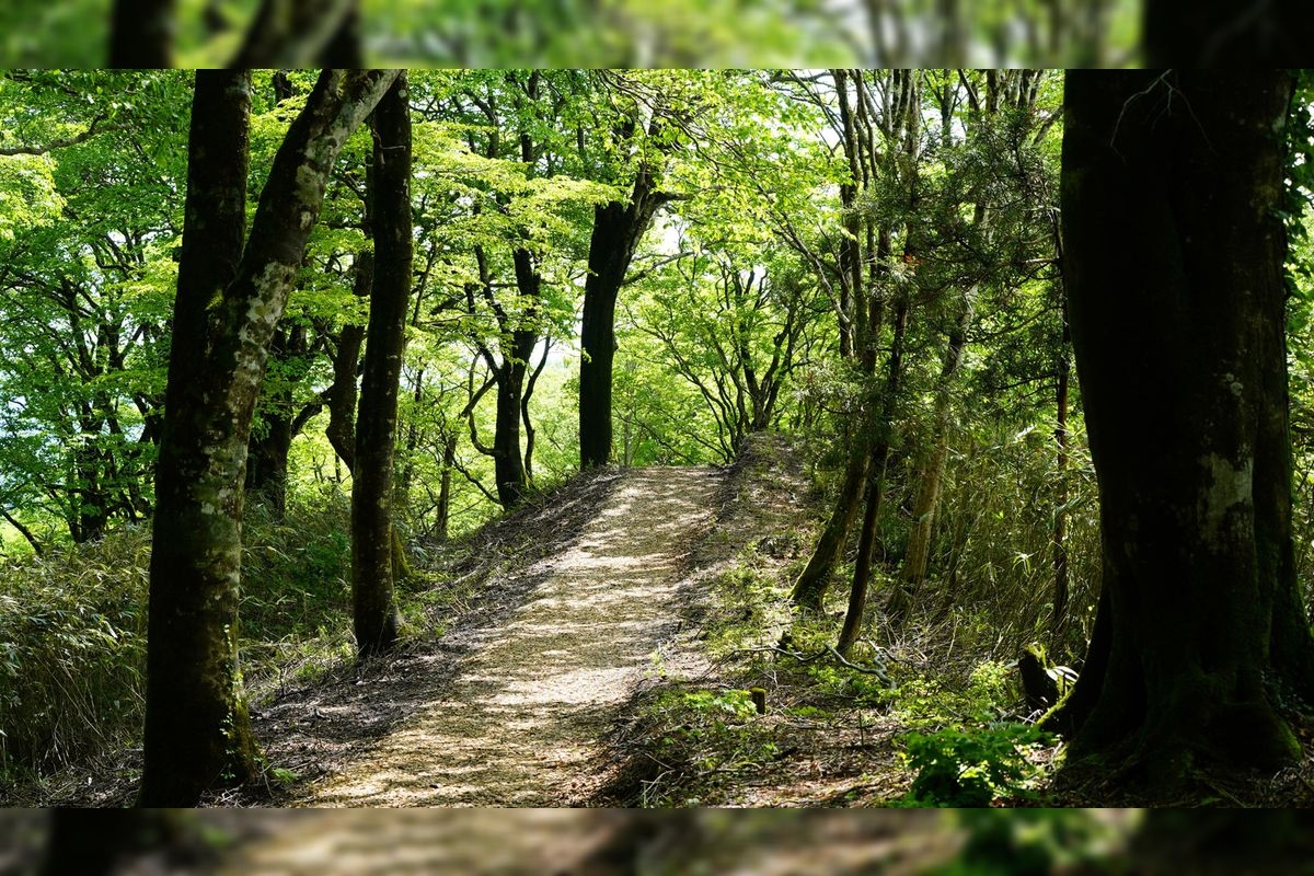 Kagamino Park