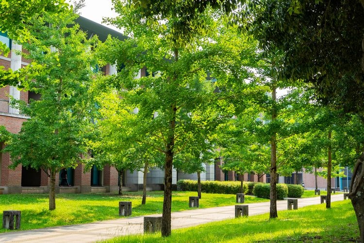 Kagamino Park