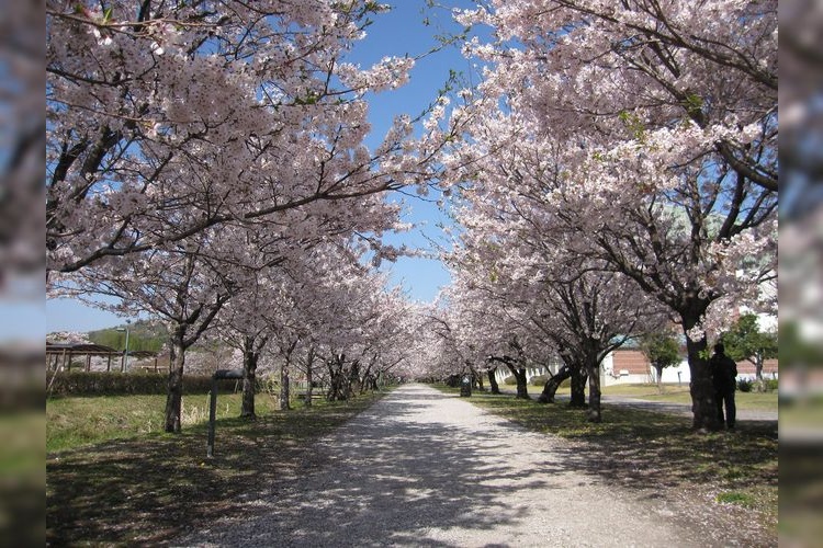 Kagamino Park 2