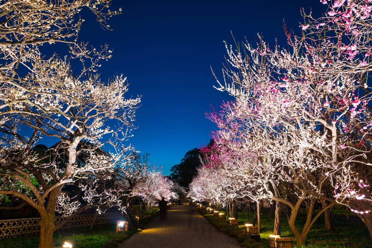 Kairakuen Garden