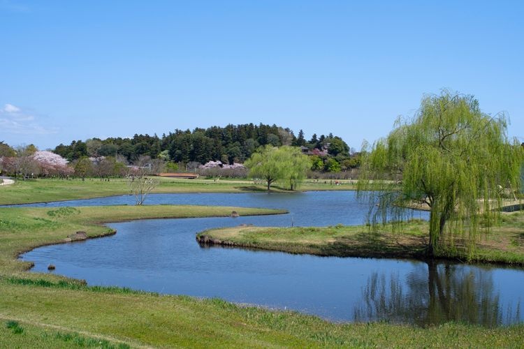 Kairakuen Garden 3
