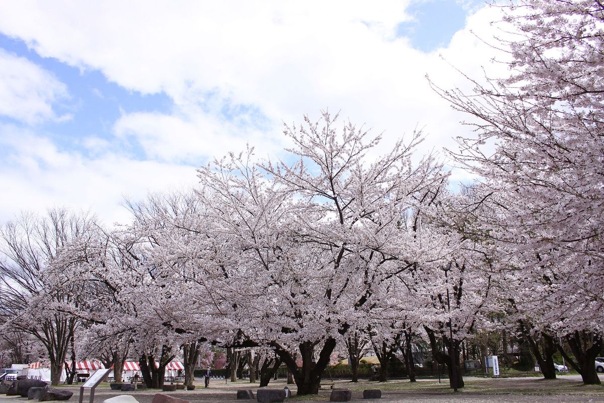 霞城公園（山形城跡）