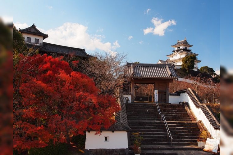 掛川城 2