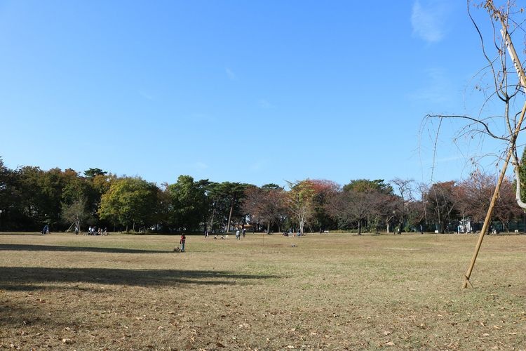 柏の宮公園