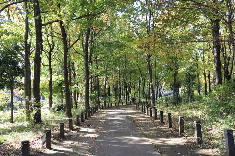 柏の宮公園 2