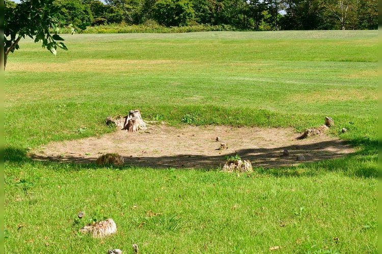 Site de Kakinoshima