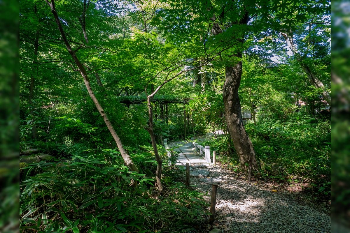 Kakunodate Historical Village - Aoyagiya