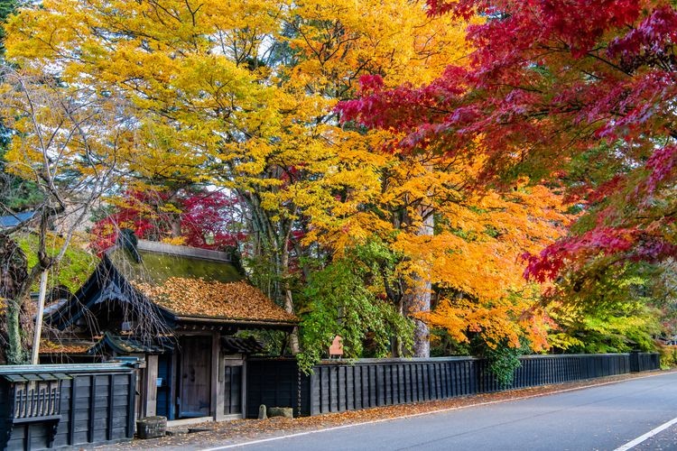 角館（伝統的建造物物群保存地区） 4