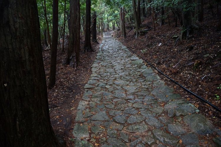 鹤林寺