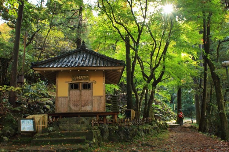 Kakusenkei Gorge 2