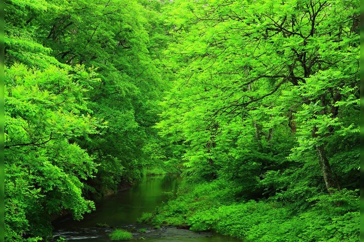 釜淵の滝 2