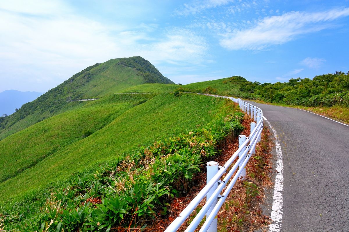 Kamegamori Forest Road (Kamegamori UFO Line)