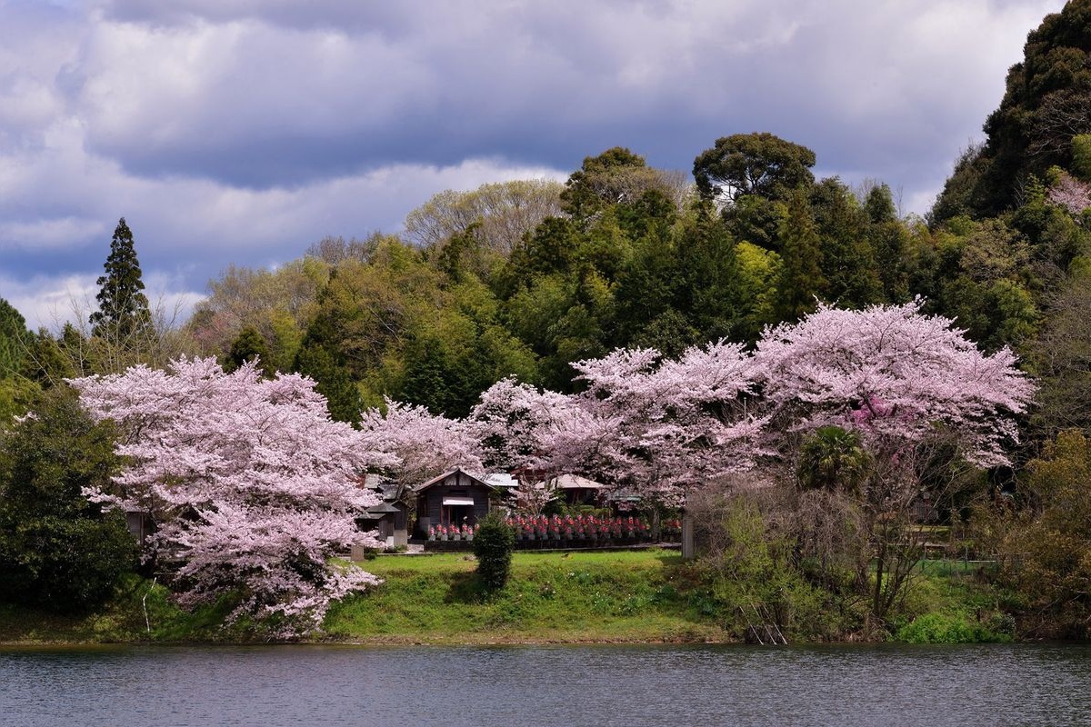 สวนคาเมอิเคะ (Kameike Park)
