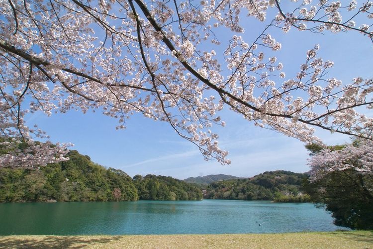 Tamanoueike Park