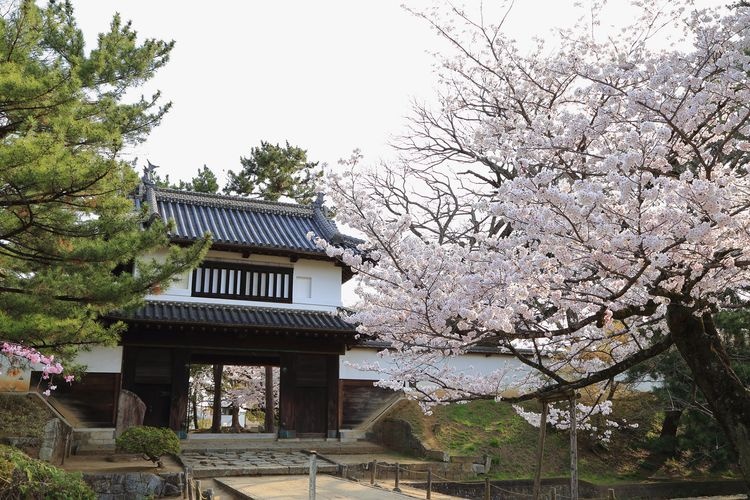 亀城公園(土浦城址)