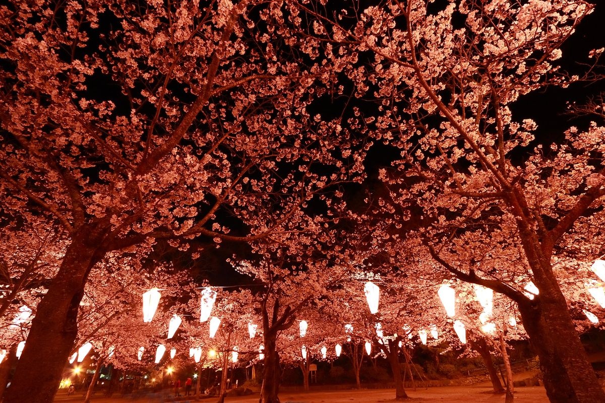 Kiyama Park