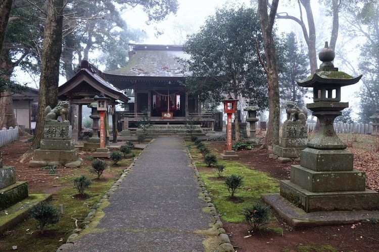 Kiyama Park