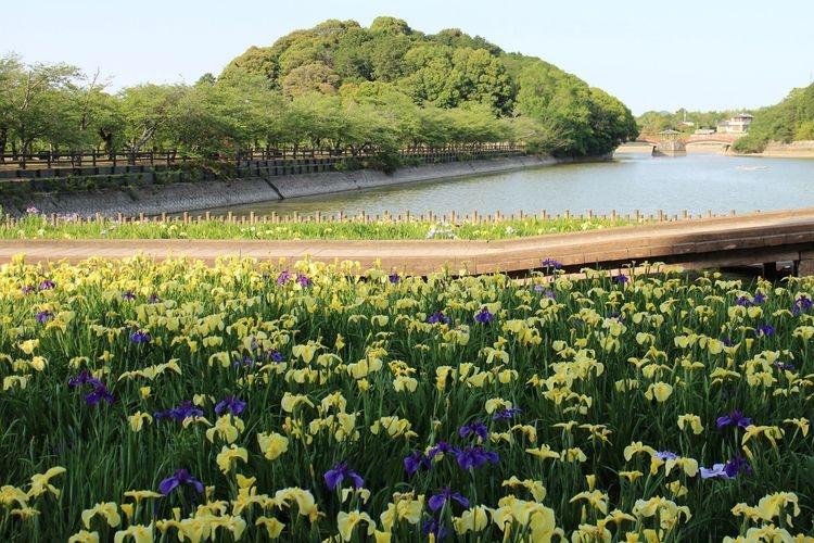Piscine chauffée Twin Pal Nagao (Saison estivale)