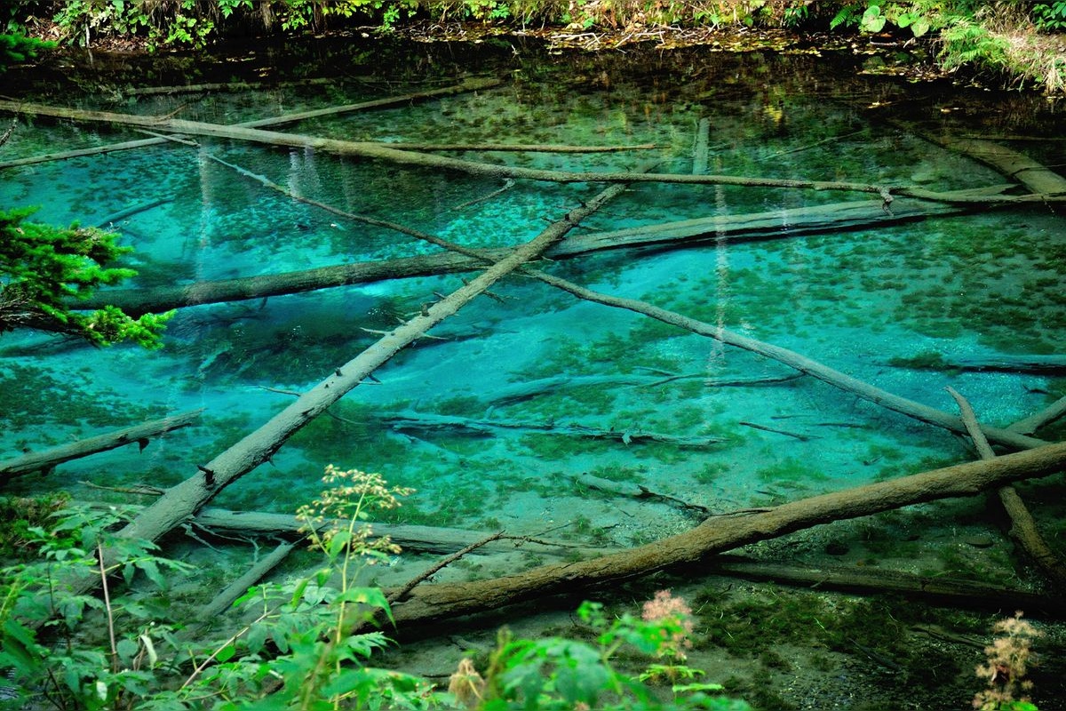 Kaminoiko Pond