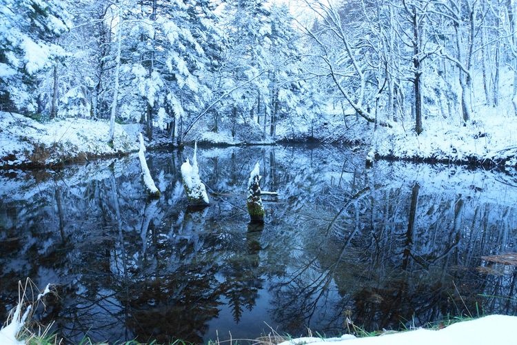 Kaminoiko Pond