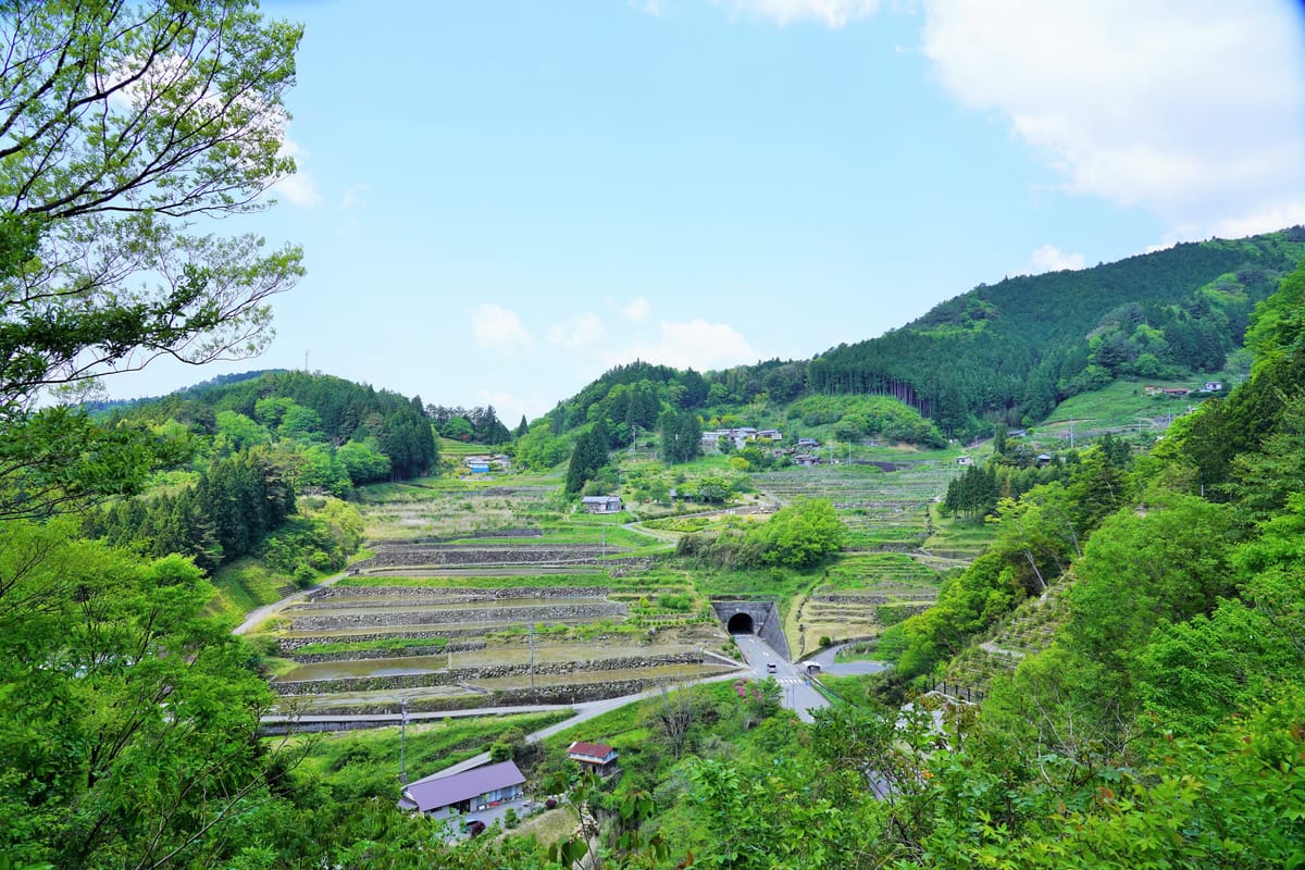 Kamiari no Senmaida