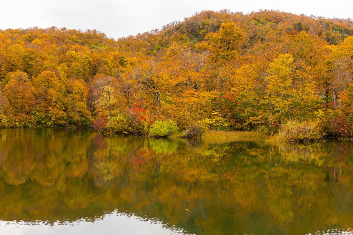 Kamaike Pond