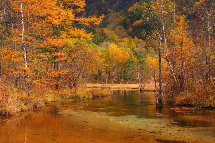 Kamikochi 9