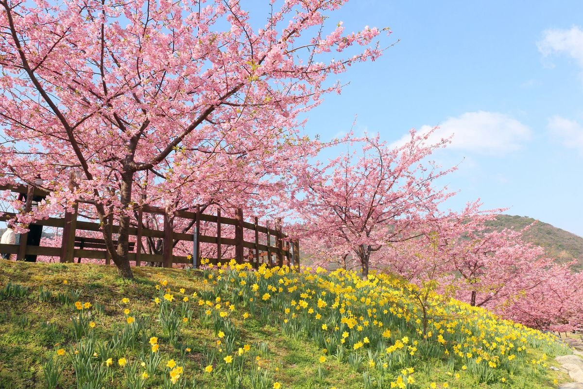 สวนประวัติศาสตร์คามิยามา คามิซากิ (Kamisaki Joyama Historical Park)