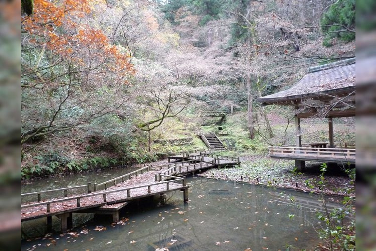 加茂山公園