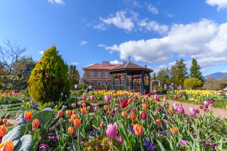 Hana Kana Garden
